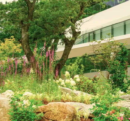 Aménagement paysager